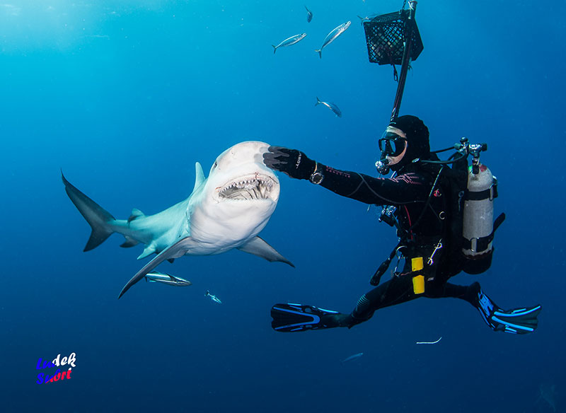 Beneath the Surface